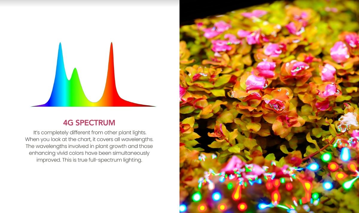 Twinstar verlichting S-line V + APP Control