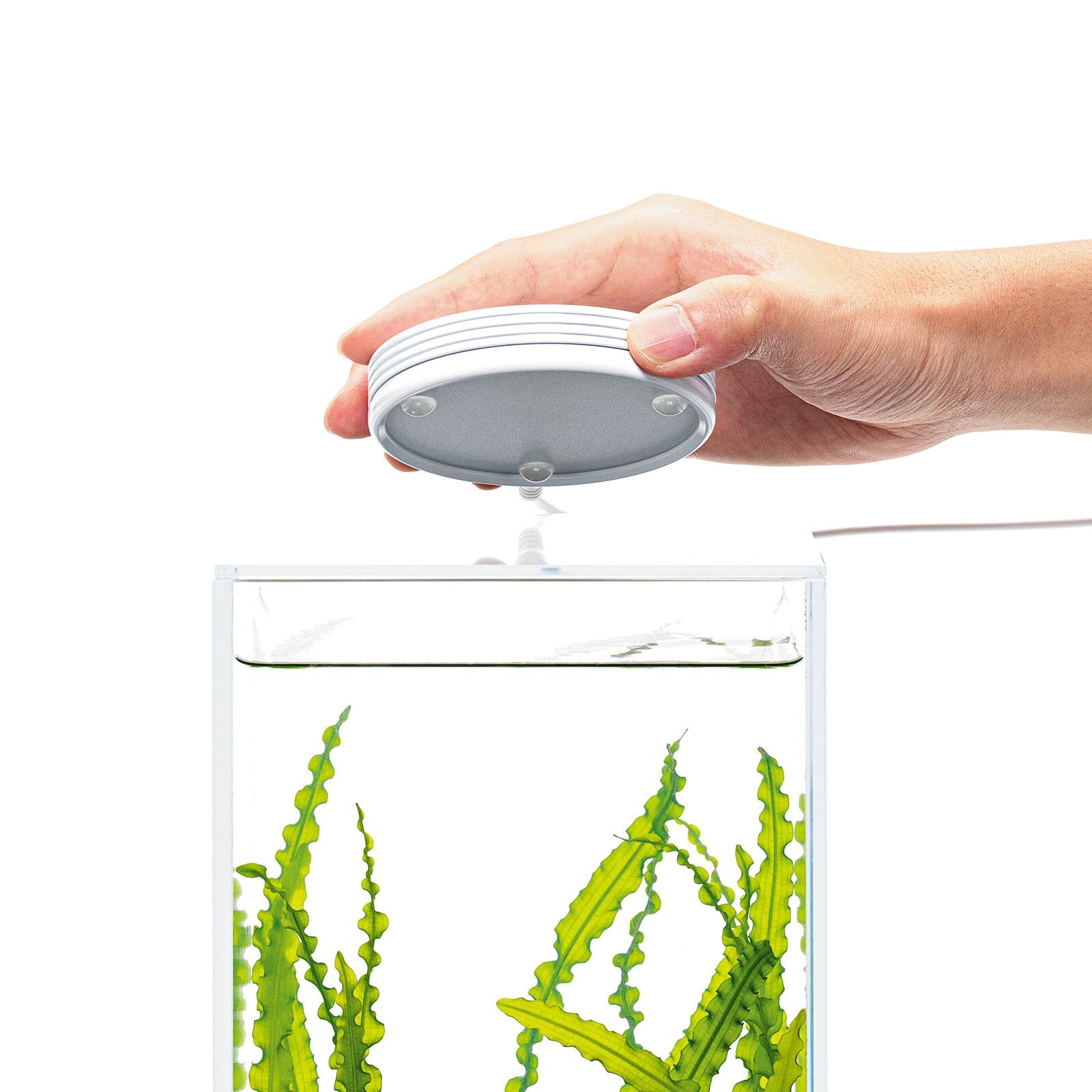 DOOA Magnet light G