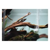 Aquario NEO Special Type Curved acryl air diffuser