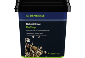 Dennerle GRAVIER PLANTAHUNTER RIO XINGU