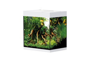 Oase styleline Aquarium