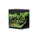 Oase styleline Aquarium