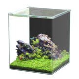 Aquatlantis Cube Curve Essential