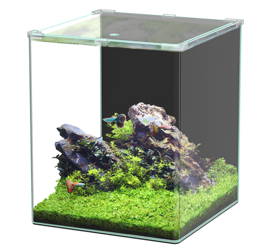 Aquatlantis Cube Curve Essential