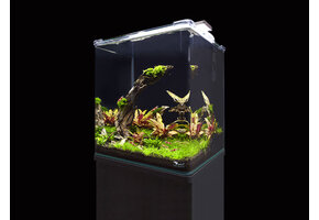 Aquatlantis Cubus Curve Essential