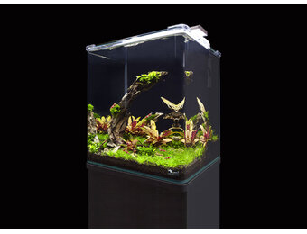 Aquatlantis Cube Curve Essential