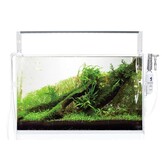 ADA Cube garden Shallow 60-F - L60xB30xH25 - 5mm