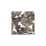 ADA KUMU ST-01 - Ryuoh Stone - 300g