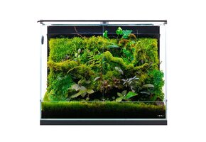 DOOA System Paluda