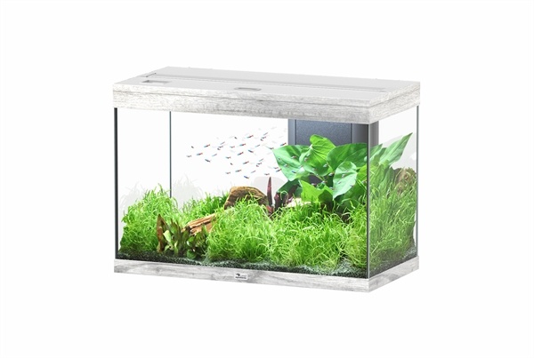 AQUATLANTIS Aquarium Splendid Ultra - Beton