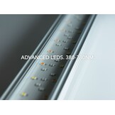 Twinstar G+ Line + Plus