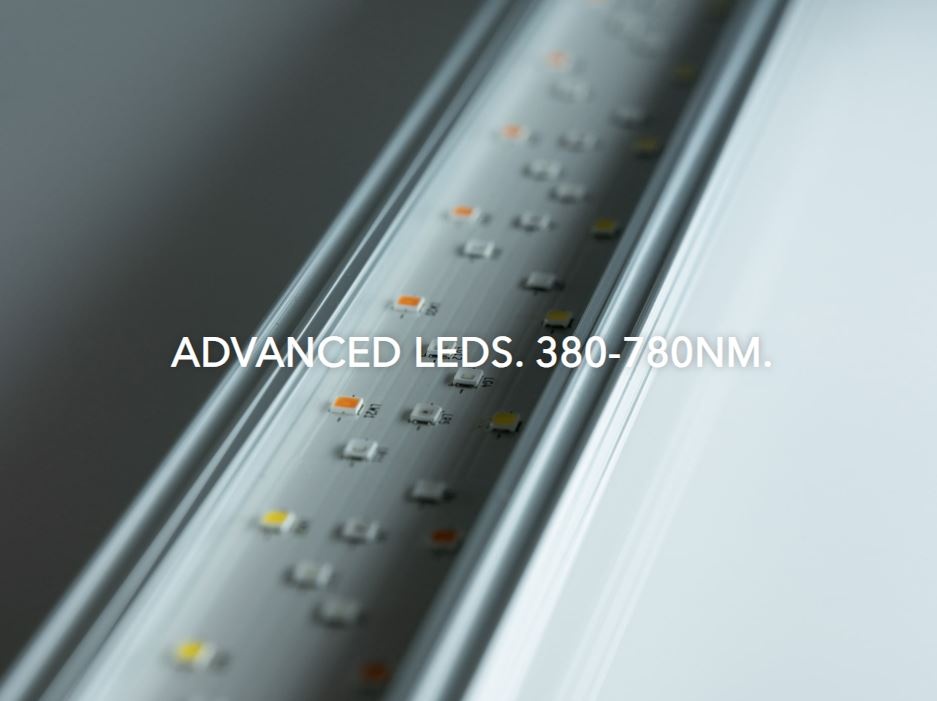 Twinstar G+ Line + Plus