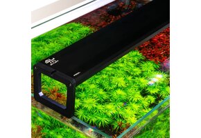 Skylight FOQAL F3XL.120S - 119cm 80W 7456lm - Suspended