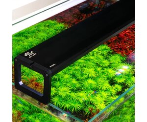 Skykight Skylight FOQAL F3XL.120S - 119cm 80W 7456lm - Suspended