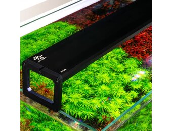 Skylight FOQAL F3XL.120S - 119cm 80W 7456lm - Suspended