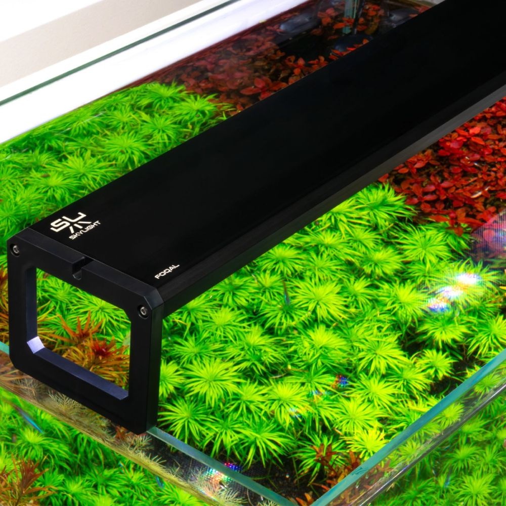 Skylight FOQAL F3XL.120S - 119cm 80W 7456lm - Suspended