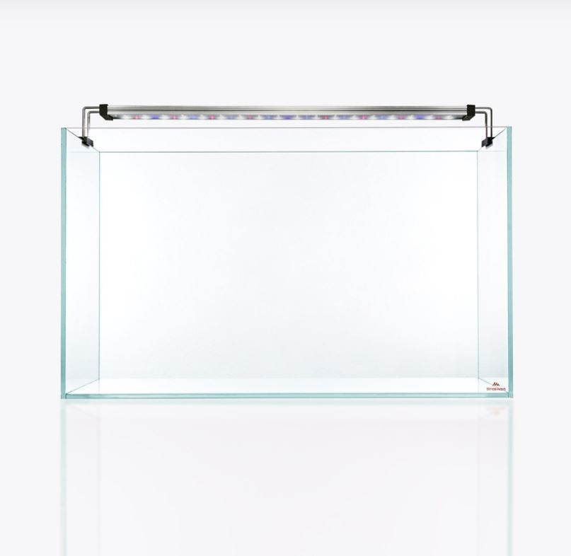 Optic-White  Aquarium