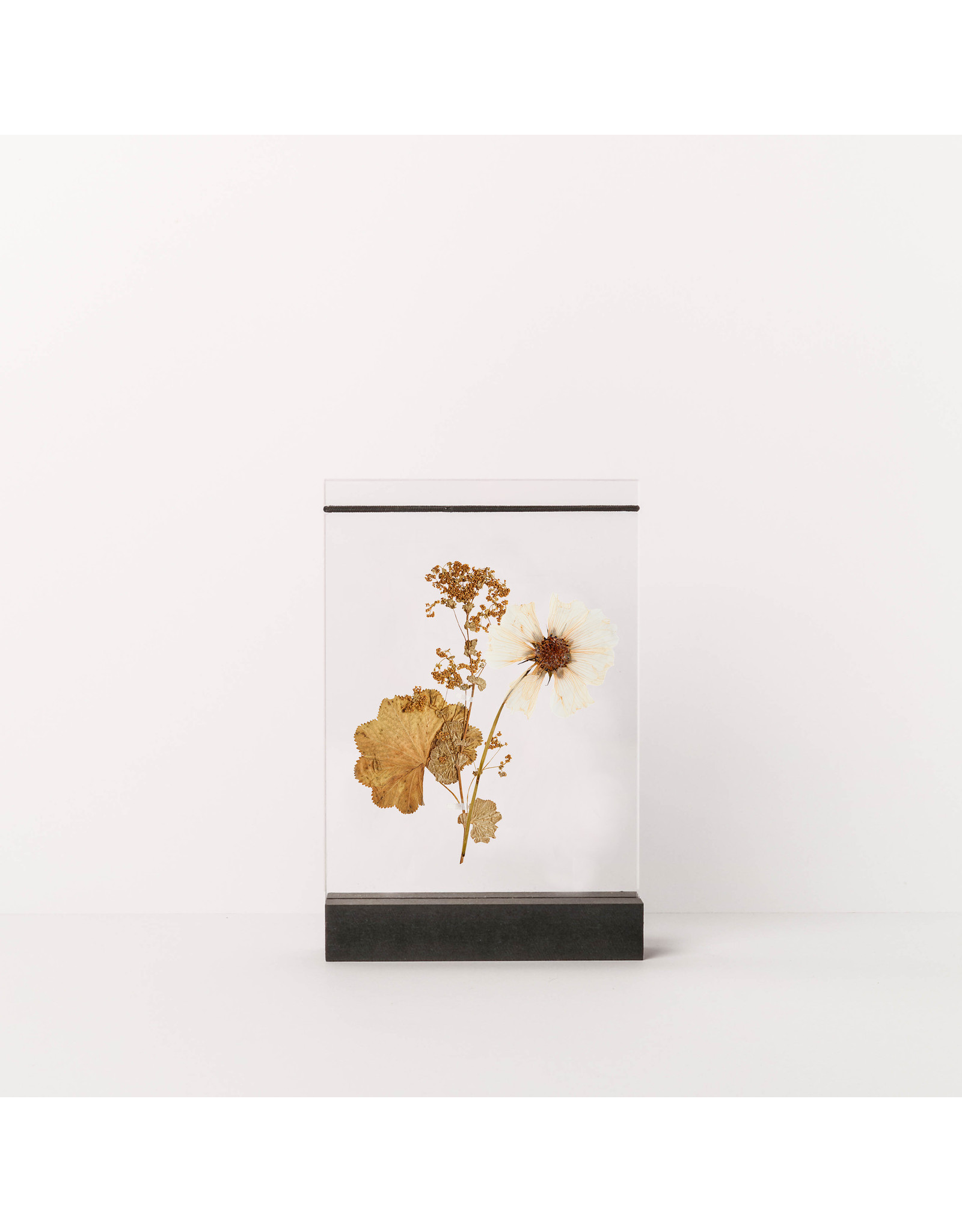 By WOOM |   Dried flower holder
