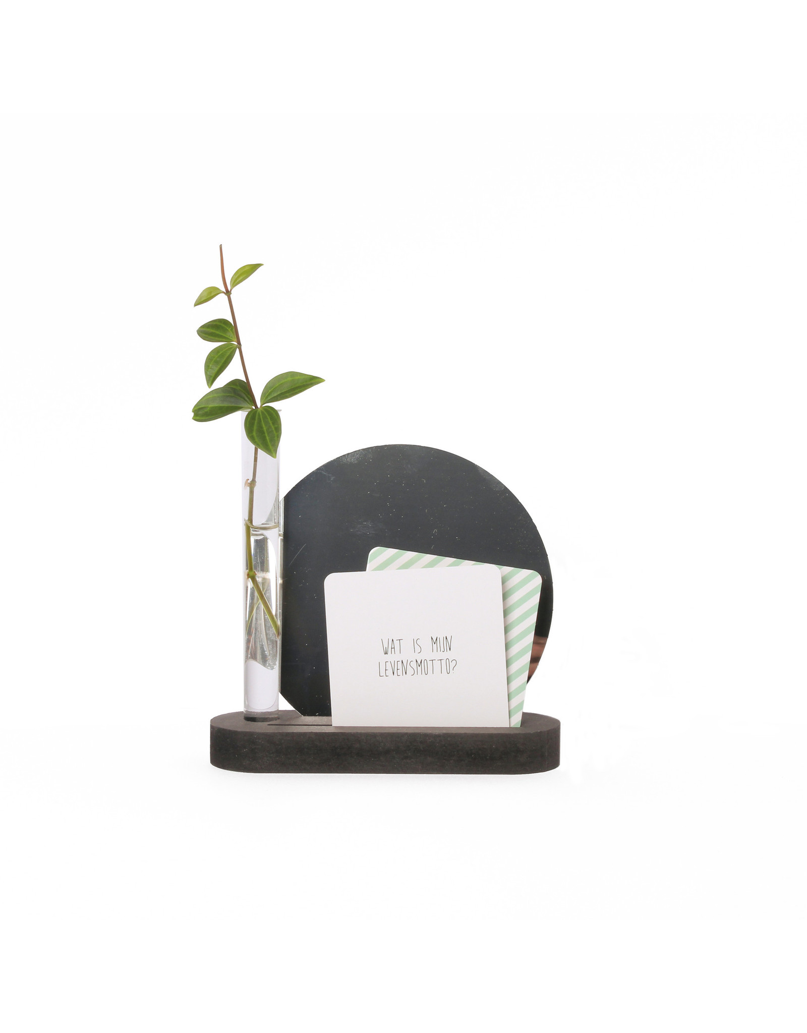 By WOOM |  Holder with vase, card and mirror