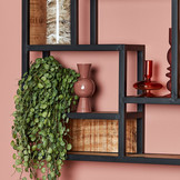 Wall rack mango wood | square
