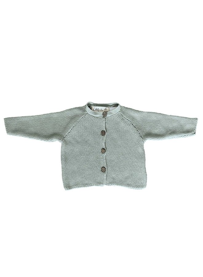 Vestje Gebreid Cloudy Mint