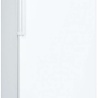 Bosch Bosch GSV24VWEV - Vrieskast Bosch Bosch GSV24VWEV - Vrieskast