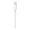 Apple Apple Lightning to USB Cable 1 Meter Apple Apple Lightning to USB Cable 1 Meter