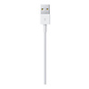 Apple Apple Lightning to USB Cable 1 Meter Apple Apple Lightning to USB Cable 1 Meter