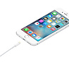 Apple Apple Lightning to USB Cable 1 Meter Apple Apple Lightning to USB Cable 1 Meter