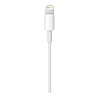 Apple Apple Lightning to USB Cable 1 Meter Apple Apple Lightning to USB Cable 1 Meter