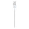 Apple Apple Lightning to USB Cable 1 Meter Apple Apple Lightning to USB Cable 1 Meter