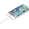 Apple Apple Lightning to USB Cable 1 Meter Apple Apple Lightning to USB Cable 1 Meter