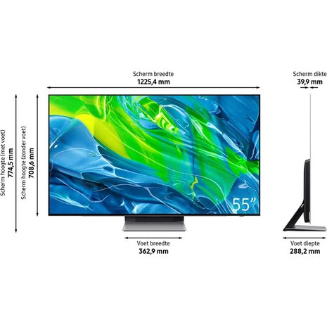 Samsung Samsung QD-Oled 65S95B (2022) - OLED TV