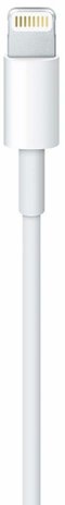 Apple Apple Lightning to USB Cable 1 Meter