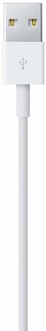 Apple Apple Lightning to USB Cable 1 Meter