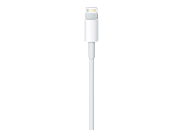 Apple Apple Lightning to USB Cable 1 Meter