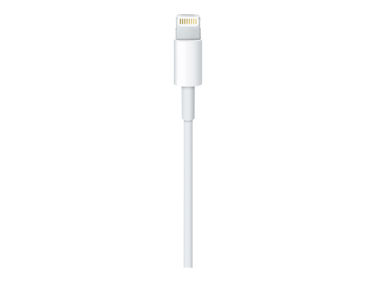 Apple Apple Lightning to USB Cable 1 Meter
