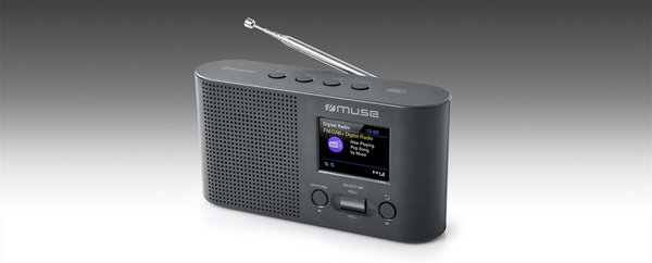 Muse Muse M-112 DBT - Radio