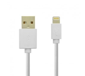Grab 'n Go Grab 'n Go GNG-107 Lightning USB Kabel 1 Meter (wit) Grab 'n Go Grab 'n Go GNG-107 Lightning USB Kabel 1 Meter (wit)