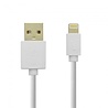 Grab 'n Go Grab 'n Go GNG-107 Lightning USB Kabel 1 Meter (wit) Grab 'n Go Grab 'n Go GNG-107 Lightning USB Kabel 1 Meter (wit)