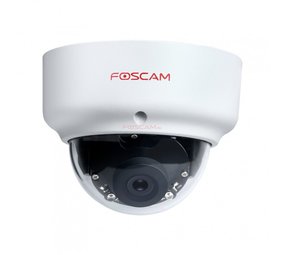 Foscam Foscam D2EP buiten - Beveiligingscamera Foscam Foscam D2EP buiten - Beveiligingscamera