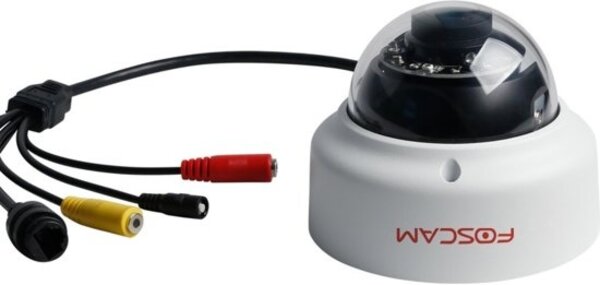 Foscam Foscam D2EP buiten - Beveiligingscamera Foscam Foscam D2EP buiten - Beveiligingscamera