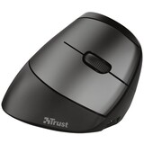 Trust Trust Bayo - Muis Trust Trust Bayo - Muis