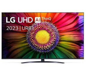 LG LG 43UR81006LJ - LED TV