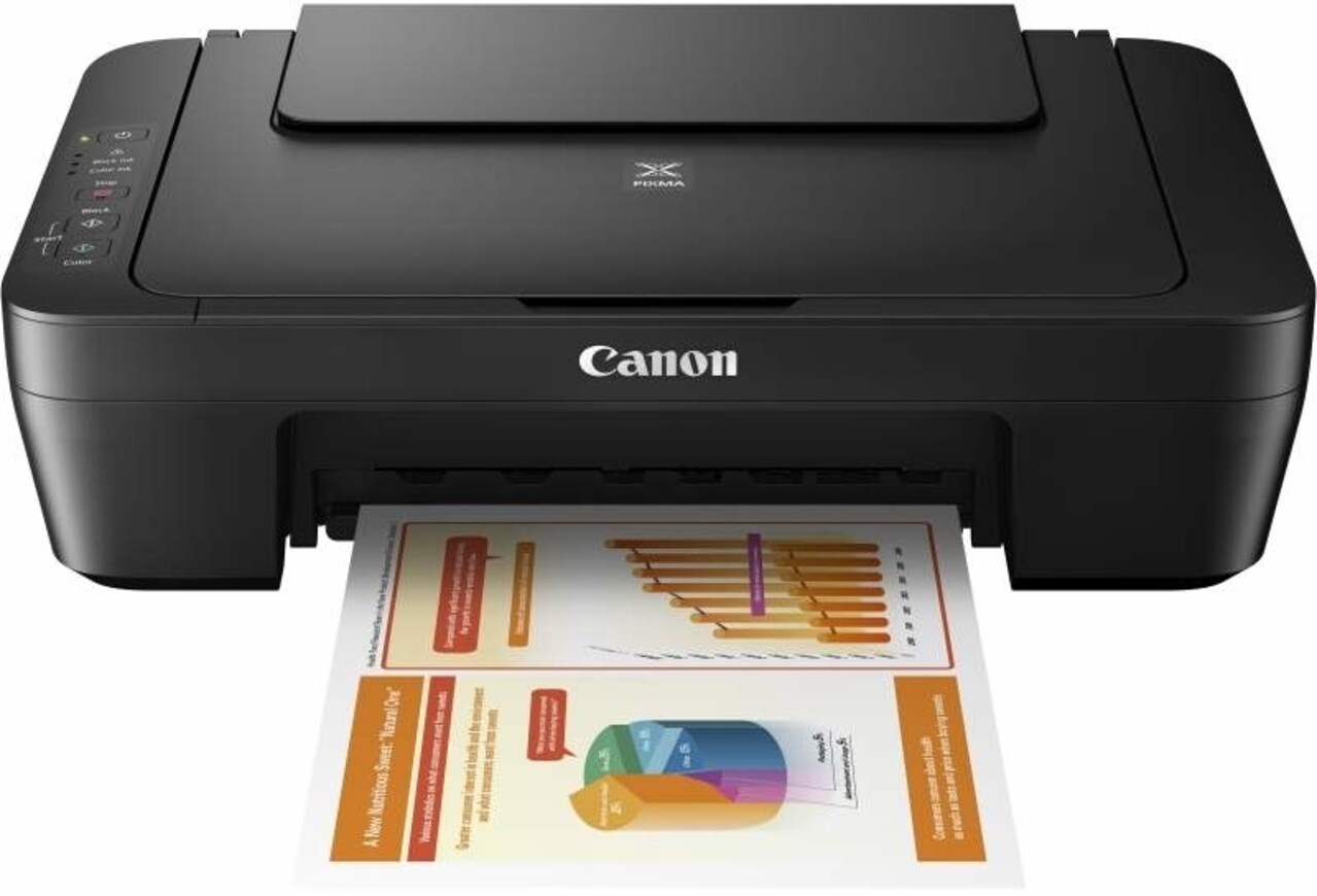 Canon Canon PIXMA MG2550S - Printer