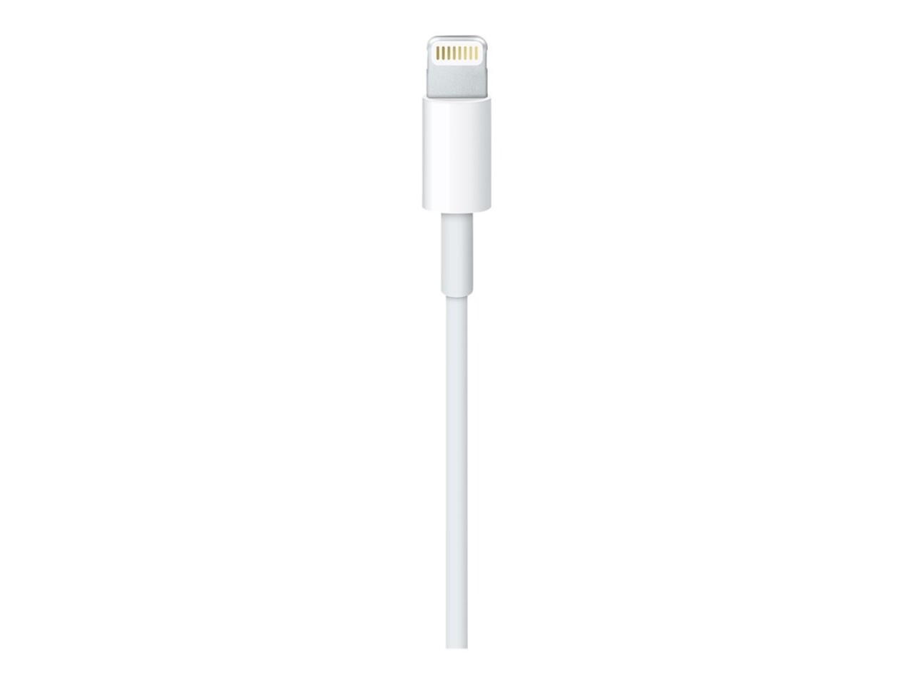 Apple Apple Lightning to USB Cable 1 Meter Apple Apple Lightning to USB Cable 1 Meter