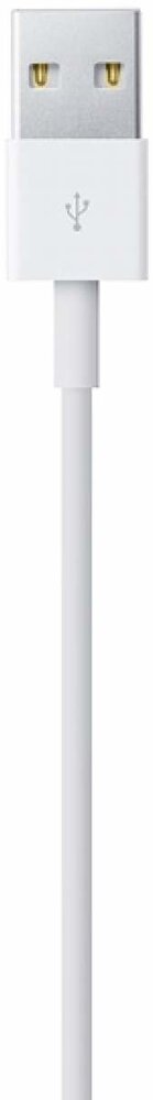 Apple Apple Lightning to USB Cable 2 Meter Apple Apple Lightning to USB Cable 2 Meter