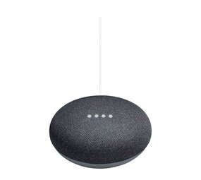 Google Google Nest Mini (Charcoal) - Draadloze speaker