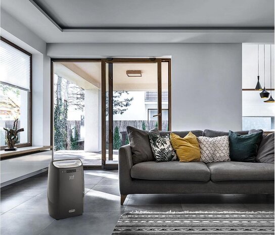 De'Longhi De'Longhi Tasciugo AriaDry DEXD216F  - Luchtontvochtiger