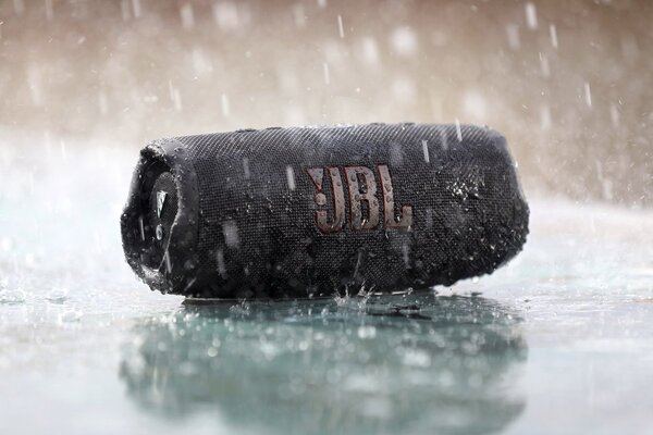 JBL JBL Charge 5 Zwart - Draadloze speaker